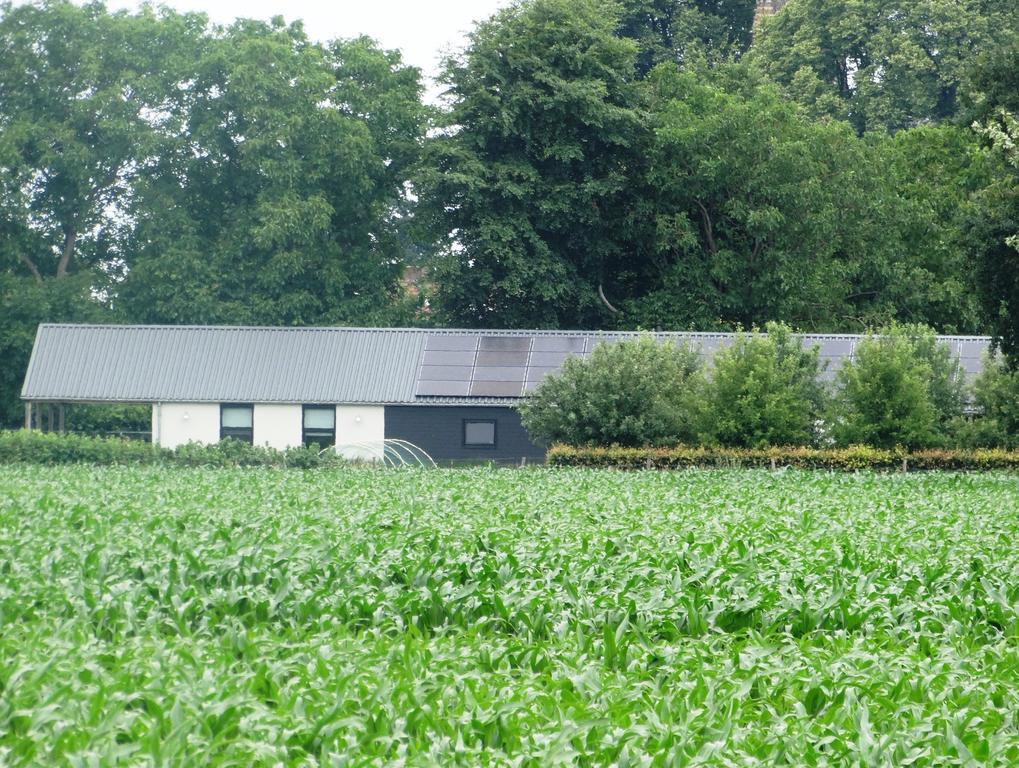 Liefkeshoek